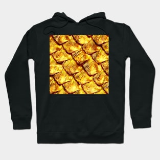 Dragon Hide (Gold) Hoodie